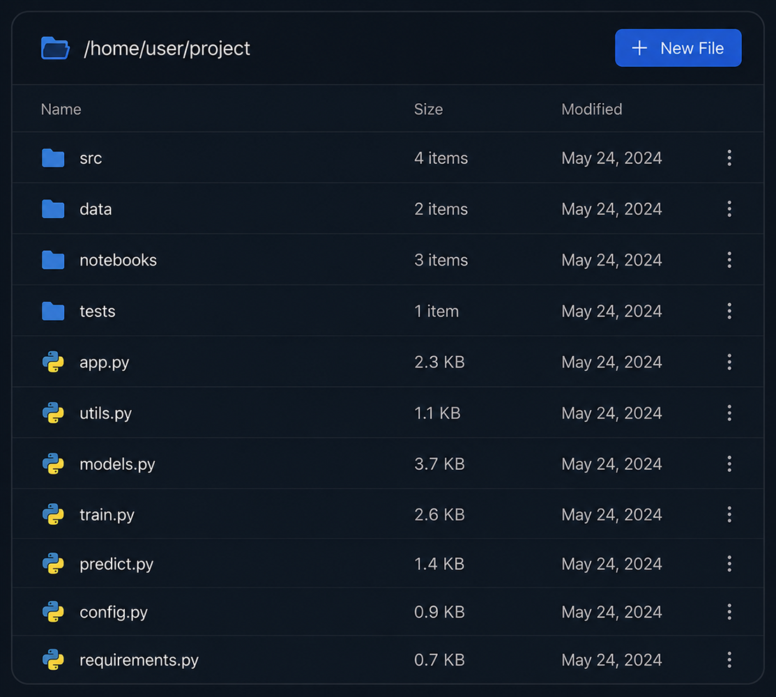 File Manager